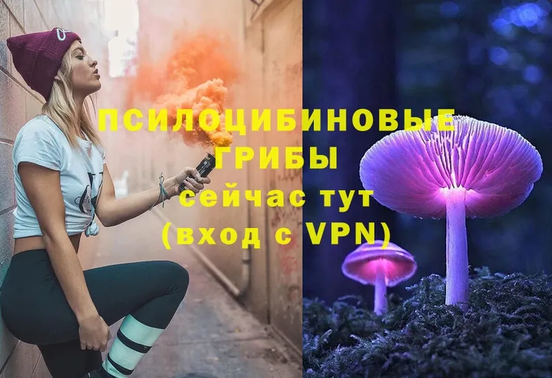 MEGA ONION  Усмань  Псилоцибиновые грибы мицелий  закладки 